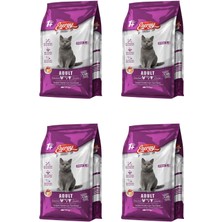 Energy Gurme Yetişkin Kedi Maması 500 G - 4 Adet