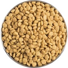 Pro Plan Renal Function Nf Kuru Kedi Mama 1,5kg