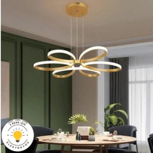 Elektroyou Nipul Eskitme Sarkıt Modern Ultra Süper 3 Renk Işıklı Ledli Avize