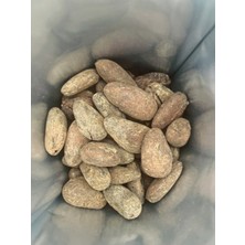 Eleonora Coffee Roasters Honduras Kakao Çekirdeği 200 gr