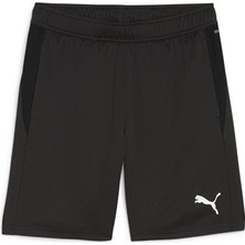 Puma Teamgoal Training Short Erkek Futbol Antrenman Şortu 65864303 Siyah