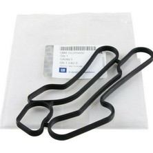 BSG Opel Astra J 1.6 Turbo A16LET Yağ Soğutucu Contası 5650834