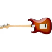 Fender Player Stratocaster Plus Top Akçaağaç Klavye Aged Cherry Burst Elektro Gitar