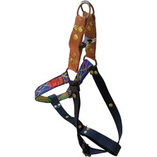 Balkonda Köpek göğüs tasması orta ırk siyah lacivert kolon deri genişlik:2cm göğüs ölçüsü:45-70cm ayarlamalı dog harness GT5-23