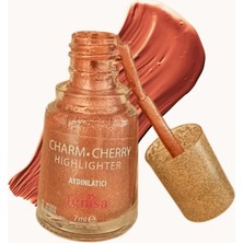 FENİSA Bronz Bronwn Higlighter