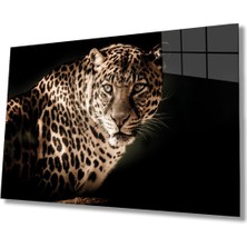 Miyrem  Miyrem Glasses Collection -A1^#  Leopar Hayvan Portresi Cam Tablocam Tablo