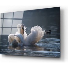 Miyrem  Miyrem Glasses Collection -A1^#  Ördek Cam Tablo