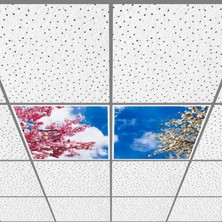 Gök Panel 60X60 LED Panel Aydınlatma Armatür Avize Sıva Altı Desenli 1x2 Ikili Grup 46511079SA