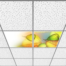 Gök Panel 60X60 LED Panel Aydınlatma Armatür Avize Sıva Altı Desenli 1x2 Ikili Grup 46510054SA