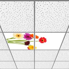 Gök Panel 60X60 LED Panel Aydınlatma Armatür Avize Sıva Altı Desenli 1x2 Ikili Grup 46510683SA