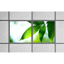 Gök Panel 60X60 LED Panel Aydınlatma Armatür Avize Sıva Altı Desenli 1x2 Ikili Grup 46510152SA