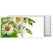Gök Panel 60X60 LED Panel Aydınlatma Armatür Avize Sıva Altı Desenli 1x2 Ikili Grup 46510688SA