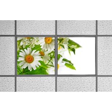 Gök Panel 60X60 LED Panel Aydınlatma Armatür Avize Sıva Altı Desenli 1x2 Ikili Grup 46510688SA