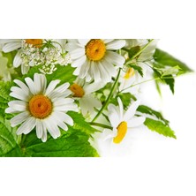 Gök Panel 60X60 LED Panel Aydınlatma Armatür Avize Sıva Altı Desenli 1x2 Ikili Grup 46510688SA