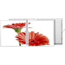 Gök Panel 60X60 LED Panel Aydınlatma Armatür Avize Sıva Altı Desenli 1x2 Ikili Grup 46510693SA