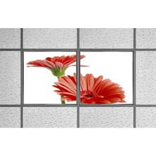 Gök Panel 60X60 LED Panel Aydınlatma Armatür Avize Sıva Altı Desenli 1x2 Ikili Grup 46510693SA