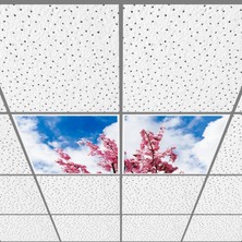 Gök Panel 60X60 LED Panel Aydınlatma Armatür Avize Sıva Altı Desenli 1x2 Ikili Grup 46511081SA