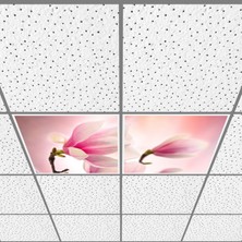 Gök Panel 60X60 LED Panel Aydınlatma Armatür Avize Sıva Altı Desenli 1x2 Ikili Grup 46510086SA