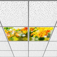 Gök Panel 60X60 LED Panel Aydınlatma Armatür Avize Sıva Altı Desenli 1x2 Ikili Grup 46510764SA