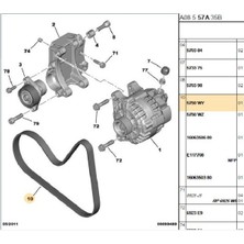 Psa V Kayışı 1007 207 307 TU3JP (5750.WY-6PK1049)