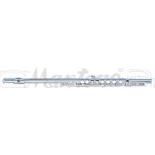 Maxtone TF48ES Flüt E Silver Wcase  taıwan Ezgicanmuzik