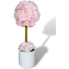 Nettenevime Metal Saksıda Bahardalı Japon Kiraz Çiçeği Ağacı 45x15 cm