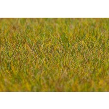 Faller 180484 Statik Çim, Açık Yeşil, 6 Mm.,30 Gram.