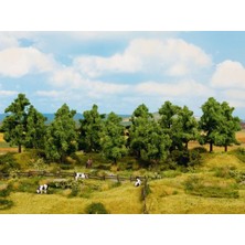Noch 24600 Yapraklı Ağaçlar, 8 Adet, 10-14 Cm. Diorama Malzemesi