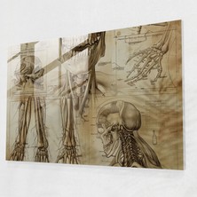 Painted Anarchy Leonardo Da Vinci Cam Sanatı - Leonardo Da Vinci, Modern Sanat, Leonardo Da Vinci, Cam Sanatı, 45X30