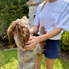 Happy Dodo I Prefer Dogs Over People Bisiklet Yaka  Pamuk Rahat Kalıp Kısa Kollu Basic Beyaz T-Shirt
