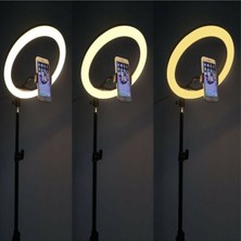 Syrox Sabitleyiciler (Tripod) Youtuber LED Işıklı Tripod Selfie Makyaj Işığı Sürekli Ring Light 10 Inç Ha