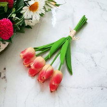 Ozihouse Yapay Islak Lale Somon Ve Kırmızı Desen Yeni Sezon 8 'Li