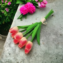 Ozihouse Yapay Islak Lale Somon Ve Kırmızı Desen Yeni Sezon 8 'Li