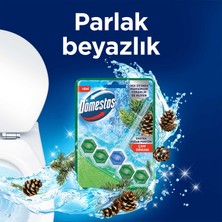 Domestos WC Blok 5'li Güç Tuvalet Bloğu Çam Ferahlığı Maksimum Hijyen 50 G