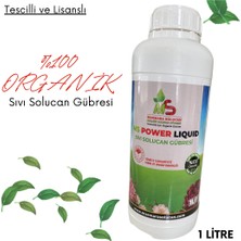 NeFizz Doğa Doğal Sıvı Solucan Gübresi (1 Lt) (Tescilli ve Lisanslı)