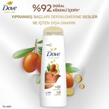 Dove Ultra Care Saç Bakım Şampuanı Onarıcı Bakım Argan Yağı 400 ml X3 Adet