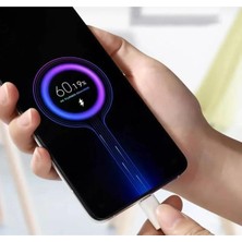 Subzero  Samsung Galaxy Note 9 Uyumlu SG51 67 Watt Hızlı Turbo Şarj Seti Kafa + Kablo