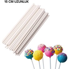 Pastry Planet Cake Pops Çubuğu (15 Cm)