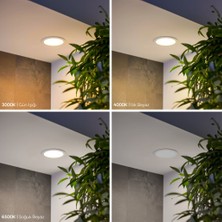 Maxled MX-1008N - 15W 4000K Ilık Beyaz | Beyaz Kasa Sıva Altı Yuvarlak LED Panel