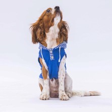 Mavi Gingham Kapşonlu  Kedi Köpek Tişörtü- Kedi Köpek Kıyafeti