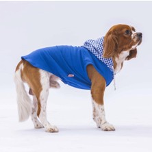 Mavi Gingham Kapşonlu  Kedi Köpek Tişörtü- Kedi Köpek Kıyafeti