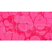 Artdeco Gold Geleneksel Ebru Boyası 105ML 325 Fuşya