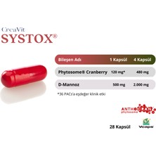 Creavit Systox® Phytosome® Cranberry (Turna Yemişi) ve D-Mannoz Içeren Takviye Edici Gıda, 28 Kapsül