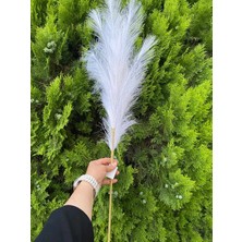 Elif Aksesuar Beyaz Pampas Yapay Dal
