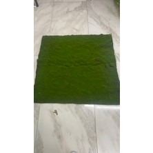 Zb Flowers Yosun Halı Dekor Süsü Bahçe Dekoru Süs Dekor 100*100
