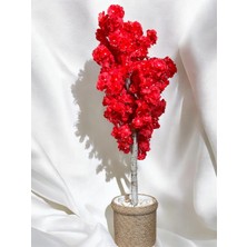 Özcan Flowers Hasır Saksıda 100 cm Kırmızı Bahar Dalı