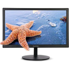 Raydın P195VHC 19,5" 5ms, 75Hz, 1600X900, D-Sub, Hdmı, Tn LED Monitör