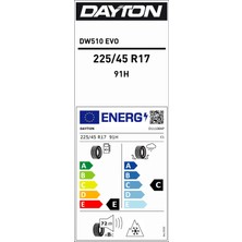 Dayton 225/45 R17 91H Dw510E Kış Lastiği (Üretim Yılı: 2024)