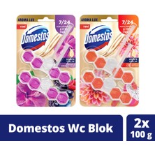 Domestos Tuvalet Bloğu Aroma Lux Yıldız Çiçeği & Ejder Meyvesi 100 G + Hibiskus & Kırmızı Meyveler