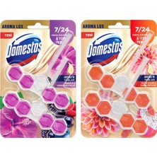 Domestos Tuvalet Bloğu Aroma Lux Yıldız Çiçeği & Ejder Meyvesi 100 G + Hibiskus & Kırmızı Meyveler